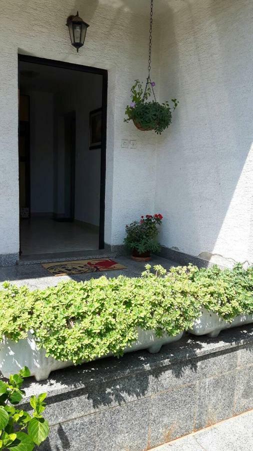 App Bajic Apartment Umag Ngoại thất bức ảnh